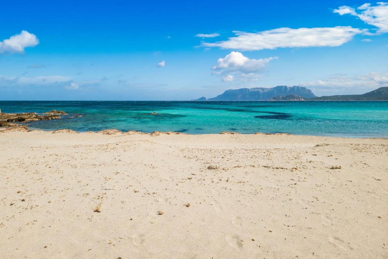 Le Dimore Di Nettuno Olbia Exterior foto